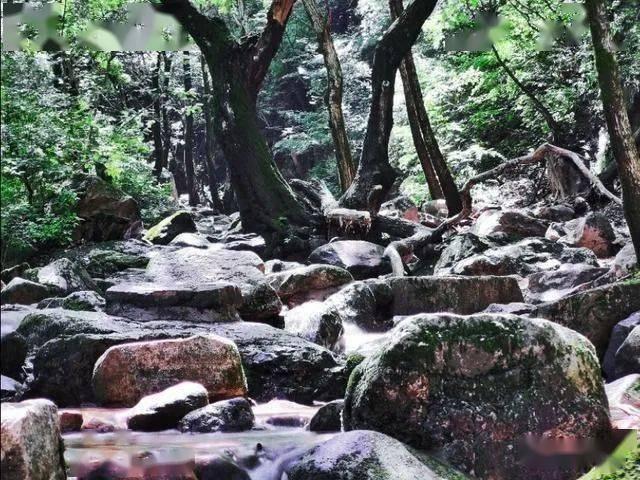 探索什么好物能够代表你的家乡特色?,发现更多乐趣